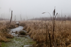 Haspelmoor 2
