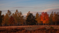 Herbst 1