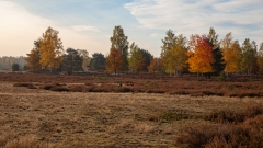 Herbst 3