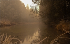 Lechnebel