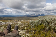 Fjäll in Norwegen