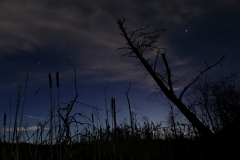 Nacht im Haspelmoor