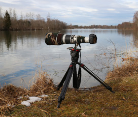 Canon EOS 5D Mark IV, EF500mm f/4L IS II USM +2x III